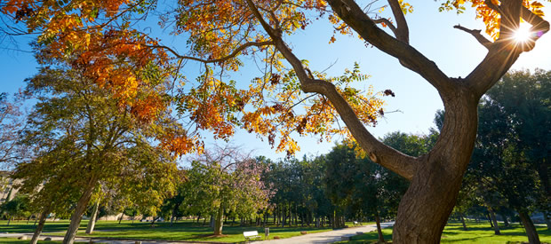 Apartamentos vacacionales en Valencia, | StyleApartments